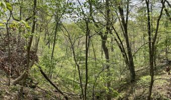 State Hwy N Tract G, Ava, MO 65608