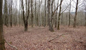 County Route 16, Angelica, NY 14709