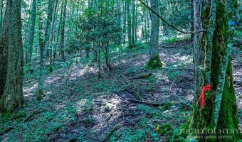 218 Old Mountain Rd, Banner Elk, NC 28604