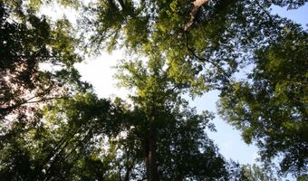 TBA BETTYS BRANCH RD X, Arvonia, VA 23004