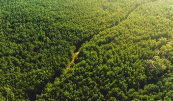 Bill Hubbard Rd, Braxton, MS 39044