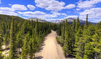 2221 Kootchie Kootchie Rd Lot 0, Alma, CO 80420