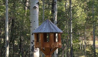 251 Haugen Slide Rd, Allenspark, CO 80510