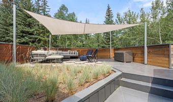 1180 Black Birch Dr, Aspen, CO 81611