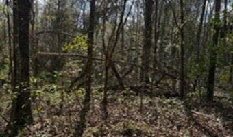 SW 22nd Pl, Bell, FL 32619