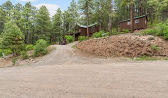 203 Hilltop Dr, Bayfield, CO 81122