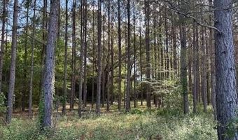 570 Bethany Church Rd, Bainbridge, GA 39817