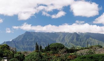 6546- D KUAMOO Rd 3, Kapaa, HI 96746