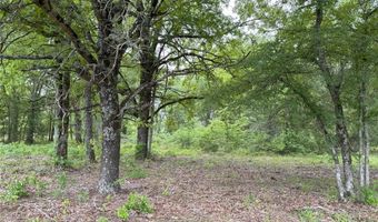 Lot 25 Rains County Road 2610, Alba, TX 75410