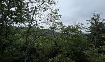 DOWNES ROAD, Bergman, AR 72615