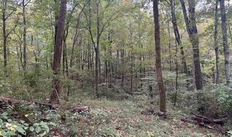 4 Salem Ridge Rd, Aurora, IN 47001
