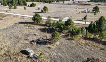 10201 Packsaddle Rd, Cascade, ID 83611