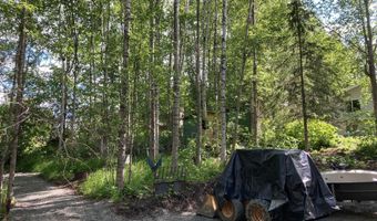 22909 Green Garden Dr, Chugiak, AK 99567