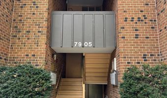 7905 DASSETT Ct 304, Annandale, VA 22003