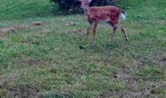 1668 State Hwy 498, Beattyville, KY 41311