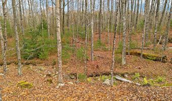 45 Marden Shore Rd, Albion, ME 04910