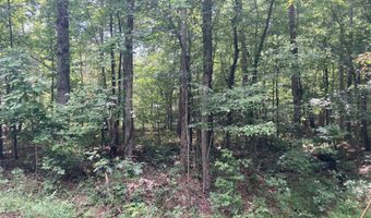 Lot 1069 Iron Gate Drive, Baneberry, TN 37890