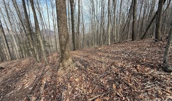 1029 Chippawa Dr 67, Arden, NC 28704