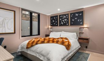 725 E Durant Ave 22, Aspen, CO 81611