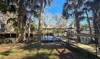 56290 CHERRY TREE Rd, Astor, FL 32102