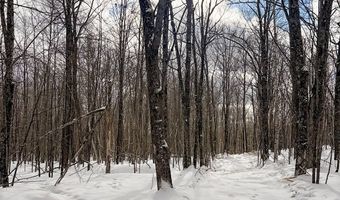 606 Log Lodge Rd, Winter, WI 54896