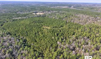 Jones Lane, Bay Minette, AL 36507