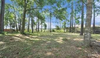 209 Runaway Point Rd, Savannah, GA 31404