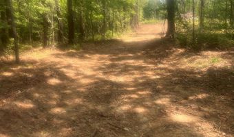 Highway 27, Attapulgus, GA 39815