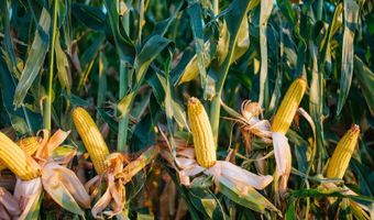 0000 450th Rd, Bassett, NE 68714