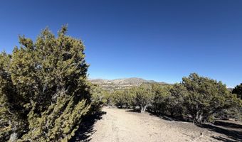 Andy's Way, Elko, NV 89801