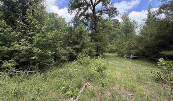 1420 Palmetto Rd, Sparkman, AR 71763
