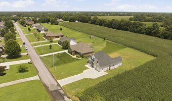 54 North Dr, Almo, KY 42020