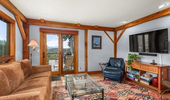 927 Red Mountain Rd, Aspen, CO 81611