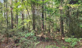 0 Lowery Rd Lot #11, Atmore, AL 36502
