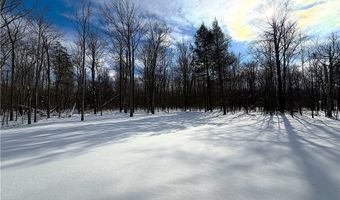 595 Seneca Rd, Angola, NY 14006