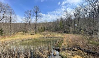 320 Acres CR 921, Alpena, AR 72611