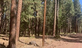 Edgewater Way lot 84, Adin, CA 96006