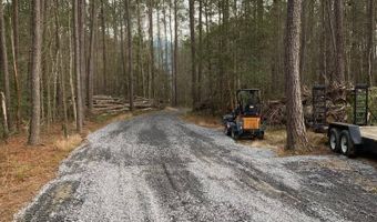 6774 Spring Grove Rd, Adams Run, SC 29426