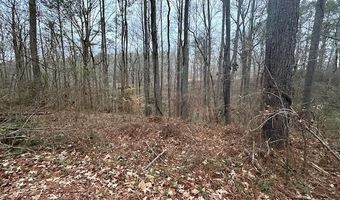 1089 Damascus Dr, Ball Ground, GA 30107
