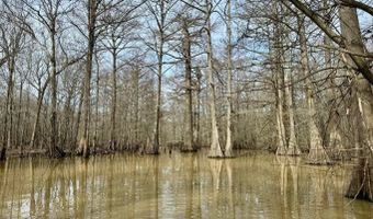 Putnam Road, Belzoni, MS 39038