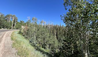 W Hunter Ridge Dr, Brian Head, UT 84719