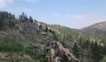 693 Cougar Dr, Bellvue, CO 80512