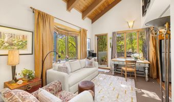 125 E Hyman Ave 1A, Aspen, CO 81611