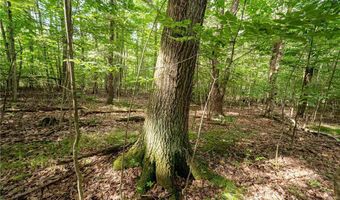 County Road 2, Addison, NY 14801