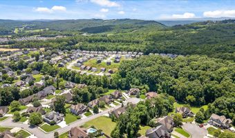 4217 Cripple Bush Ct, Apison, TN 37302