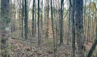 00007 SPRINGHOLLOW Rd Lot 7, Ashville, AL 35953
