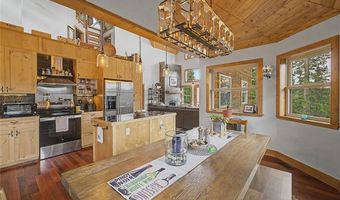 62 Lazy Rex Rd, Alma, CO 80440