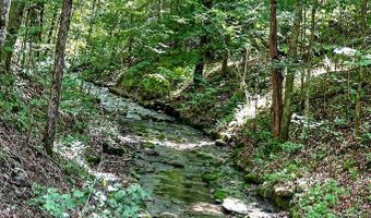 2926 Bryant Ridge Rd, Baxter, TN 38544