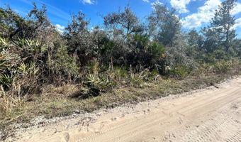 DEER CROSSING ROAD, Altoona, FL 32702