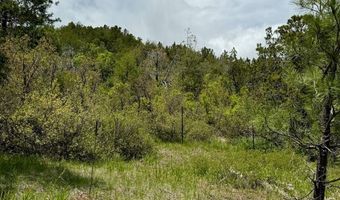 TBD-2 Vine Mesa Ave, Beulah, CO 81023